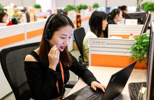 6類適合“老實(shí)人”的工作 在信息咨詢服務(wù)領(lǐng)域，找到人際關(guān)系簡單、工資高又能做長久的職業(yè)港灣