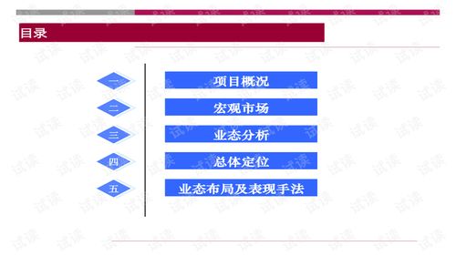 世聯(lián)重慶大型旅游地產(chǎn)項目策劃咨詢報告